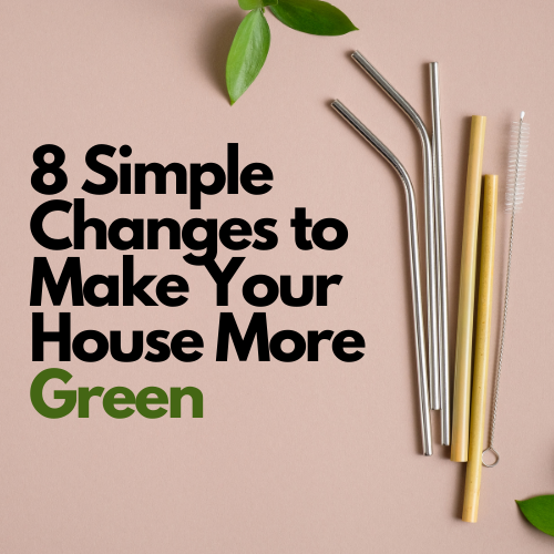 8 Simple Changes to Make Your House More Green